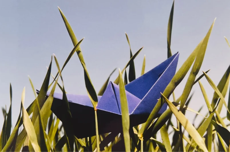 »Traumreise 2«, Marie-Luise Liebe, 2003/26, Fotografie, 12,5 × 19 cm, € 50,–